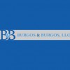 Nelson I Burgos