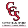 Spirio Law