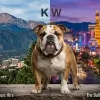 Kim Welch Law