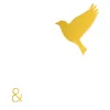 Goldfinch Winslow