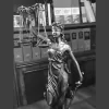 Laura Rose Nelson, Attorney At Law